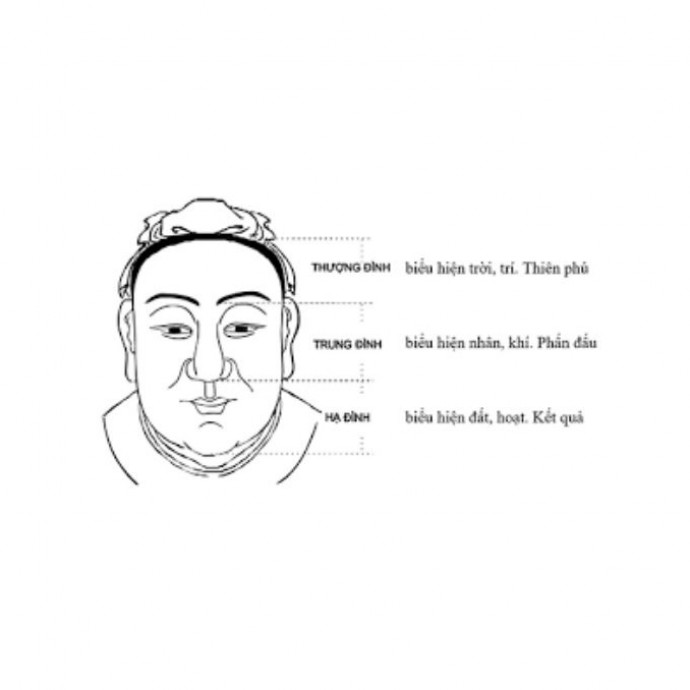 Bí mật đằng sau tướng người: Đọc vị cuộc đời qua việc so sánh với hình tượng động vật theo phong thủ