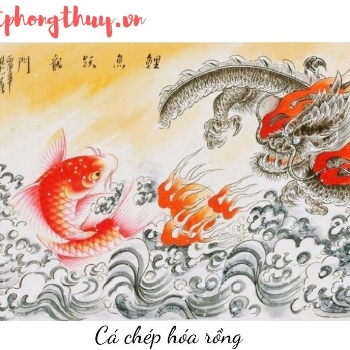 Cửa Khảm, chủ Khảm và 8 loại bếp ảnh hưởng thế nào đến vận mệnh gia đình, khám phá bí ẩn phong thủy: