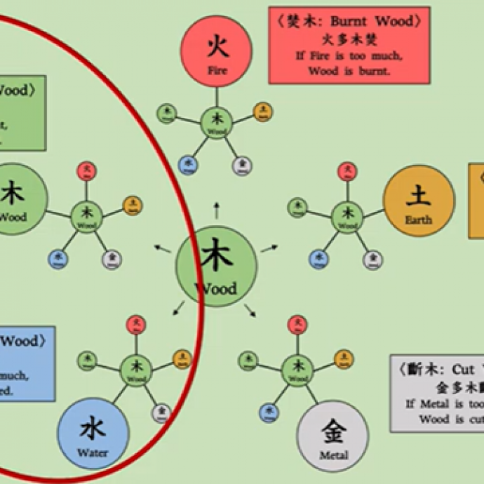 Giải Mã Năng Lượng Hổ Trợ: Khám Phá Yếu Tố Quan Trọng Trong Bazi Và Ý Nghĩa Tác Động Của Nó