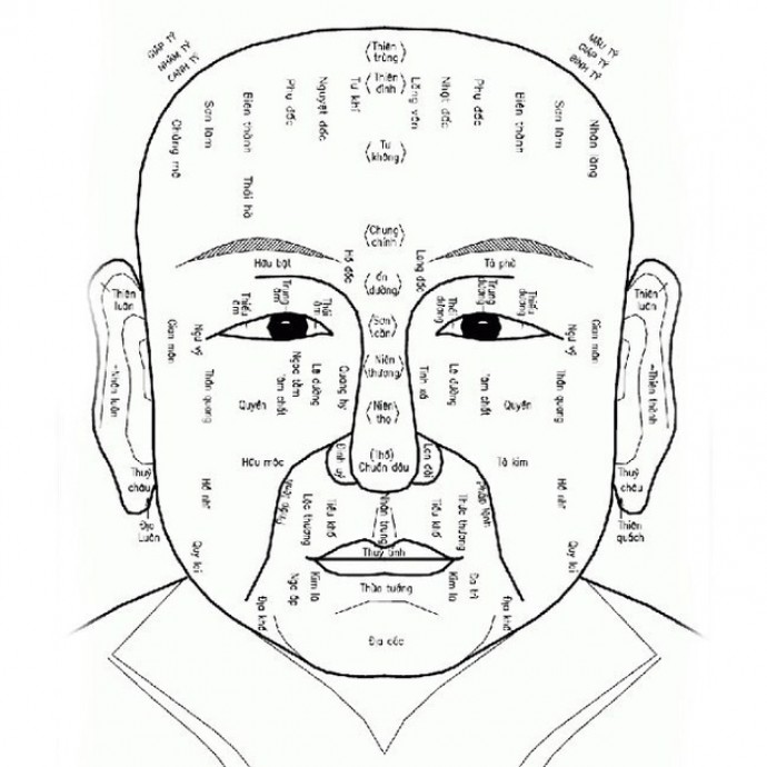 TƯ VẤN NHÂN TƯỚNG HỌC