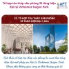 3 điều cần biết về người sở hữu Tam Hợp Thức theo phong thủy An Phát Tài