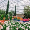 Bí ẩn đằng sau những cái tên: Sự kỳ diệu của Chữ Hán Việt trong đặt tên