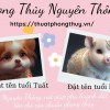 Bí quyết đặt tên con theo Ngũ hành: Đón đầu may mắn, thành công