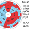 Cung Chấn: Khám phá bí ẩn bản mệnh