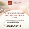 Phật Pháp Thức: Bí ẩn về những người có trí tuệ siêu phàm