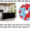 Phong thủy nhà bếp: Chữa bệnh cho ngôi nhà, cải thiện cuộc sống theo chuyên gia Nguyên Thông