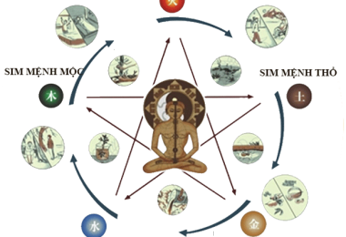 BÁT TỰ DÙNG ĐỂ LÀM GÌ