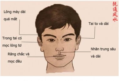 Bí mật đằng sau bàn tay và đôi chân: Đọc vị cuộc đời qua tướng tứ chi theo phong thủy Nguyên Thông