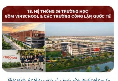 Cô Thần Quả Tú: Bí quyết tìm hiểu sự tương hợp trong hôn nhân