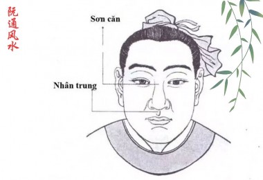 Đọc vị con người qua tướng mặt: Ứng dụng ngũ hành vào xem tướng