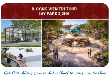Khám phá thế giới của người mệnh Hắc Đế: Tính cách, tài năng và vận mệnh