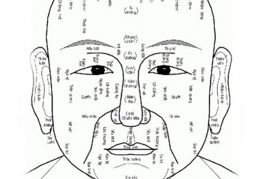 TƯ VẤN NHÂN TƯỚNG HỌC