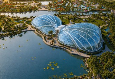 Tuổi Dần: Hoạt bát, dũng cảm và những bí quyết thành công