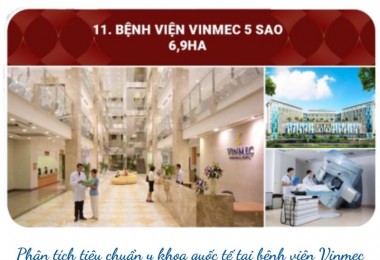 Tuổi Sửu: Bền bỉ, kiên trì và những điều cần biết để thành công