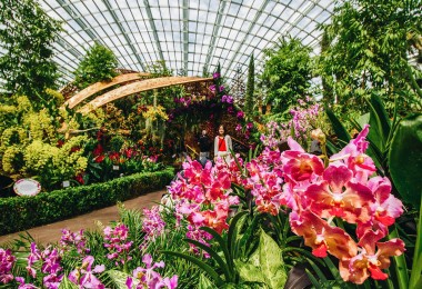 Tuổi Thân: Bí mật thành công của người khỉ