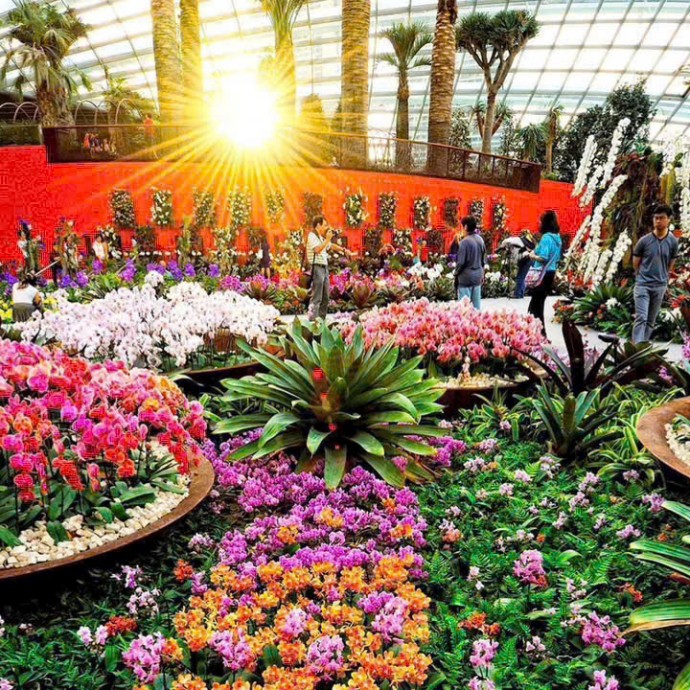 70 Công viên nội khu Vinhomes Saigon Park: tiêu chí cốt lõi định hình giá trị điền sản
