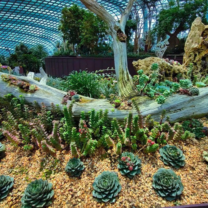 Dịch Lý, các giai đoạn học tập, công thức tính quẻ, phép kiểm soát sống động, phép nói Dịch